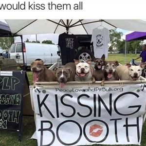 Meet your Posher, Annie